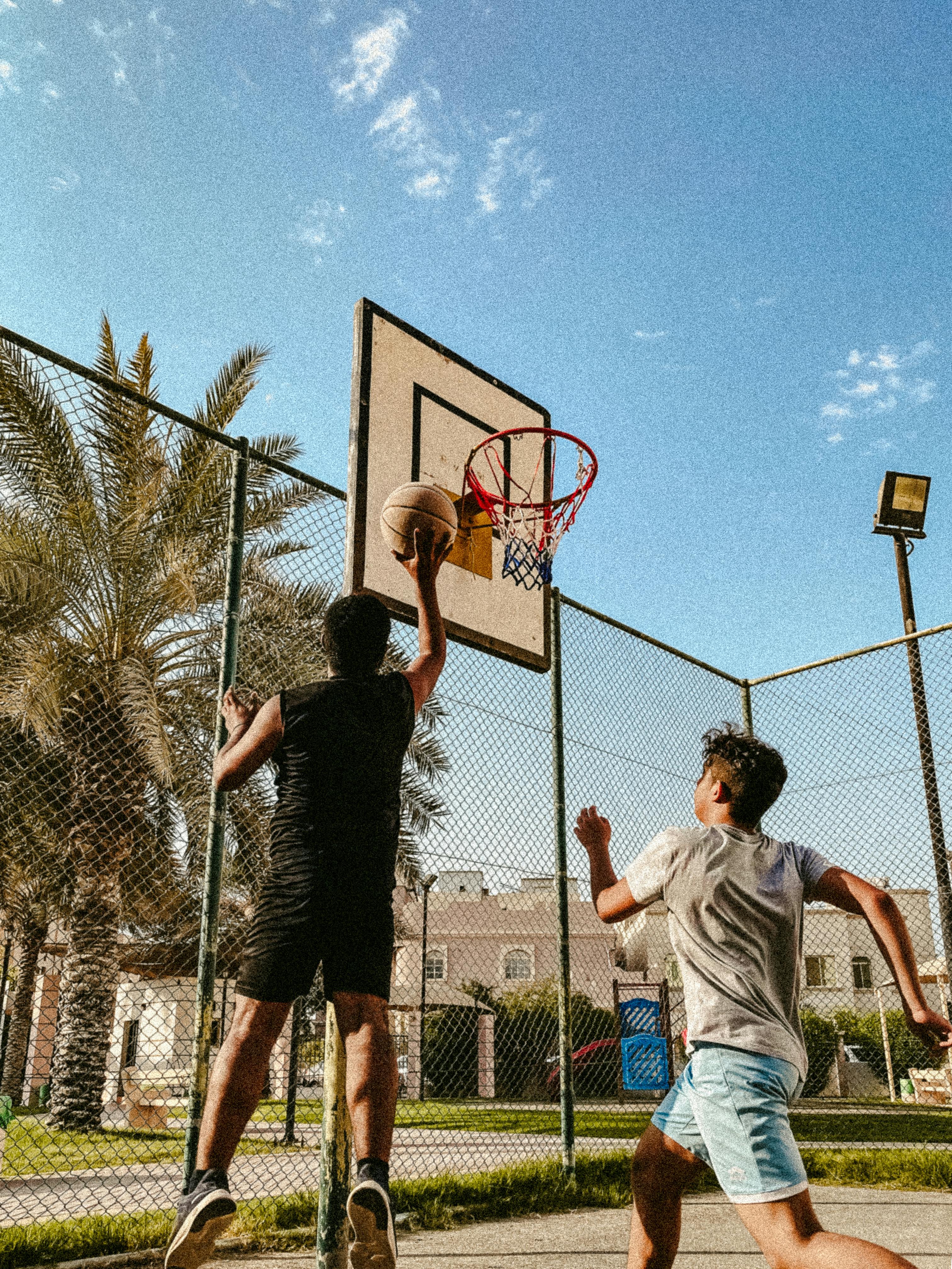 two-guys-playing-basketball-with-palm-tree-in-background