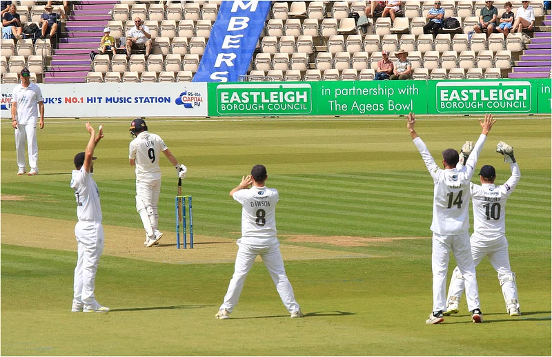 cricket-game-with-players-arms-up-in-excitement