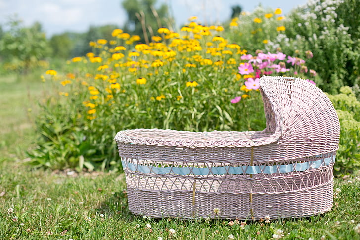 baby-pink-bassinet-in-wildflowers-field