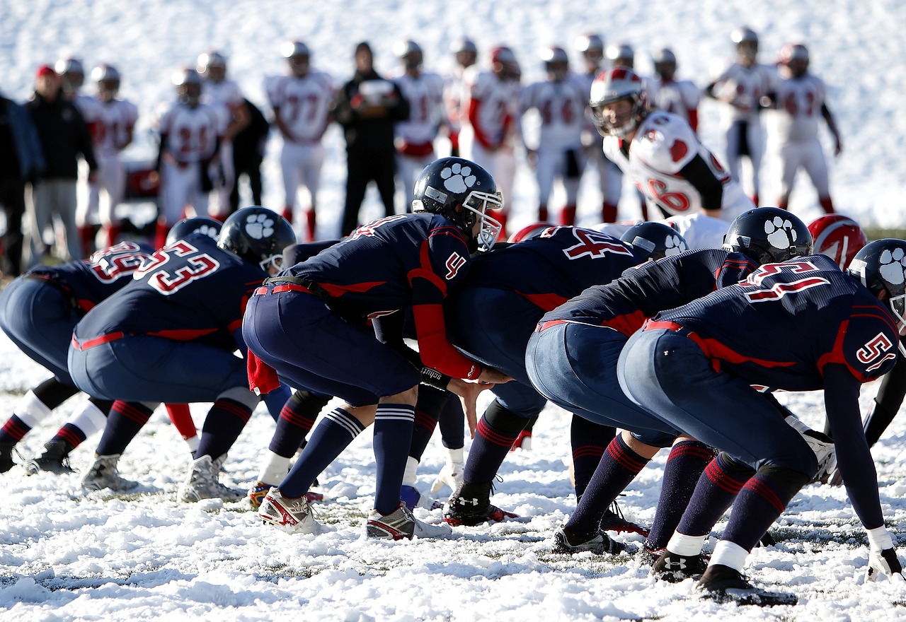 canadian football teams nfl