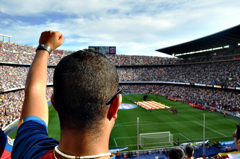 Cheering-Fan-In-Stadium