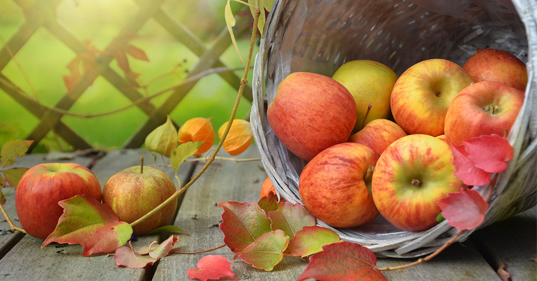 fall-leaves-and-apples-in-basket|grocery-basket-filled-with-colorful-groceries