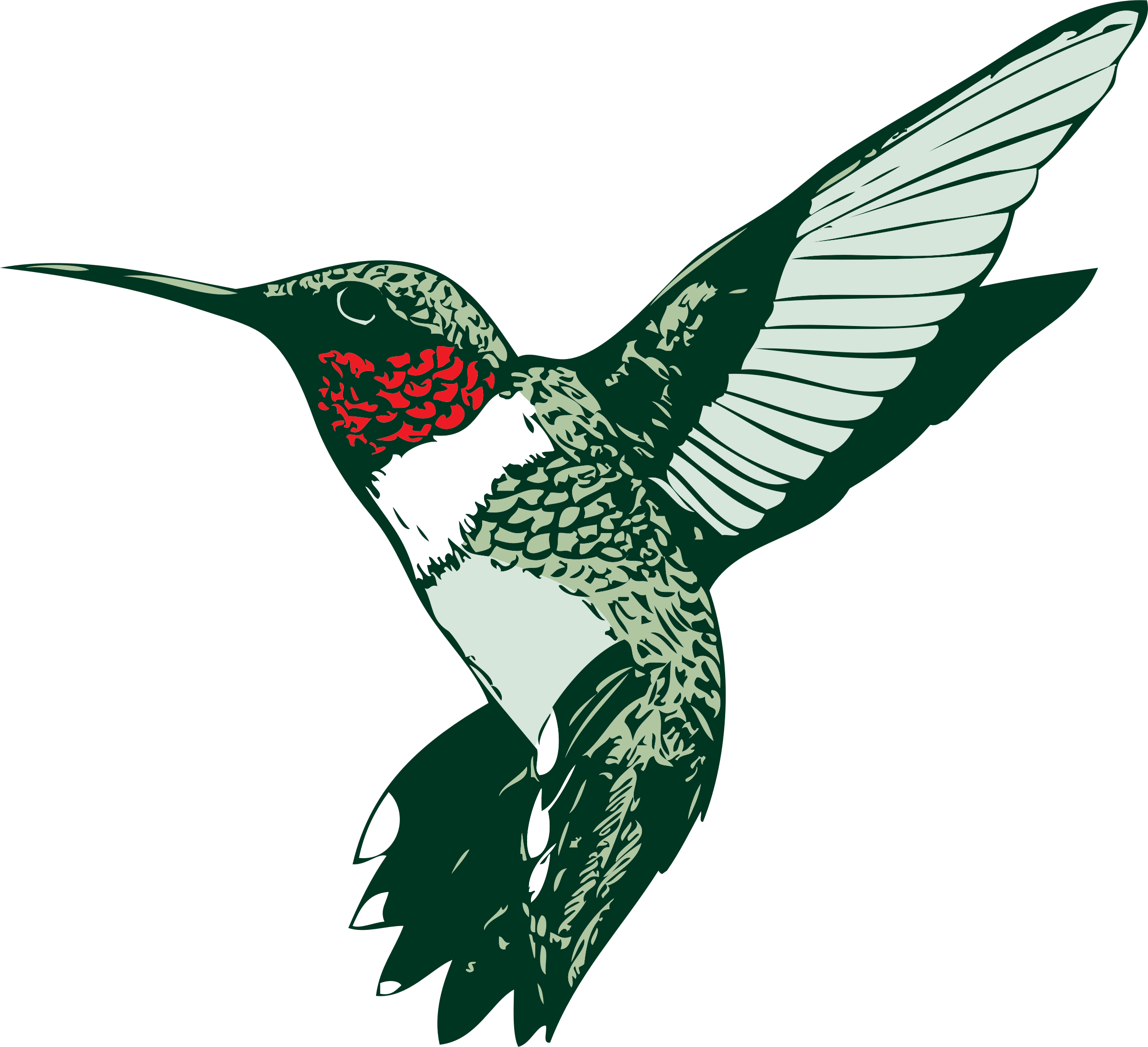 Player-Image